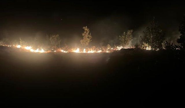 Elazığ'daki yangın kontrol altına alındı