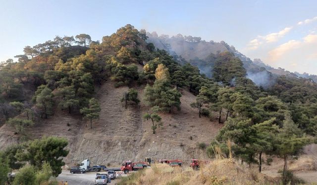 Manisa'daki yangın 44 saat sonra kontrol altına alındı