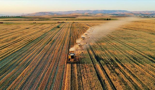 Tarımsal destekleme ödemeleri bugün hesaplara aktarılacak