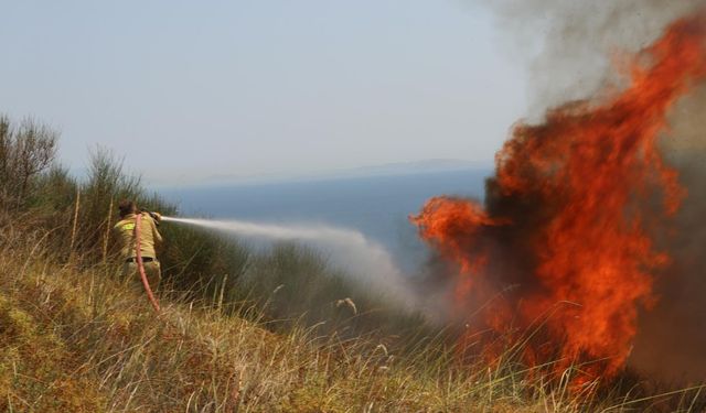 Tekirdağ'da çıkan yangınlarda 20 bin dekara yakın arazi zarar gördü