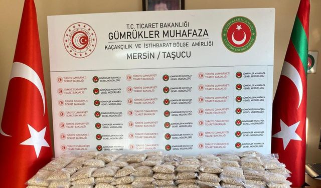 Gümrük muhafaza ekipleri uyuşturucuya geçit vermiyor