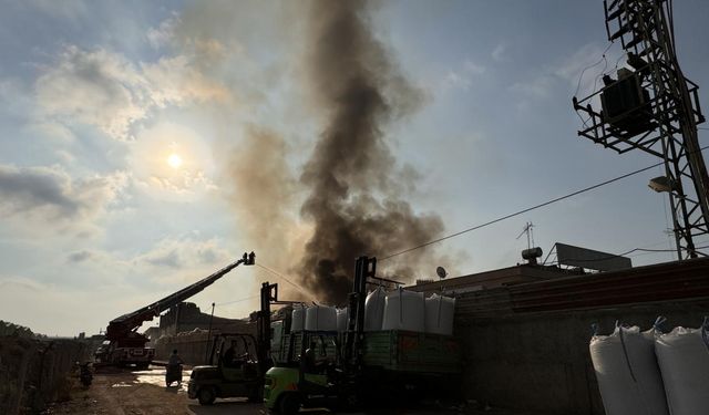 Adana'da geri dönüşüm fabrikasında yangın