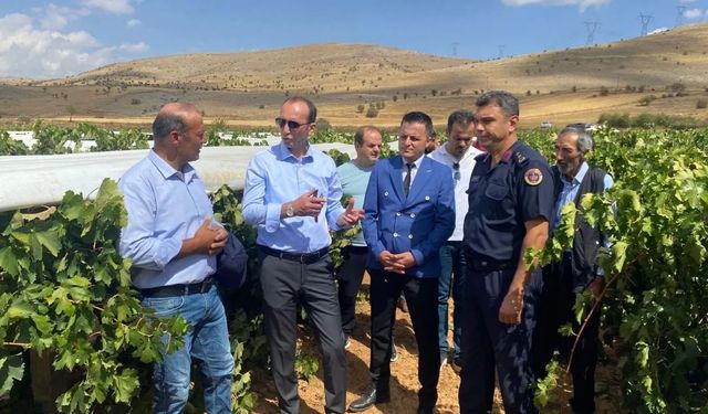 Kaymakam Sarıdoğan’dan Üzüm Hasadı Yapan Çiftçilere Ziyaret