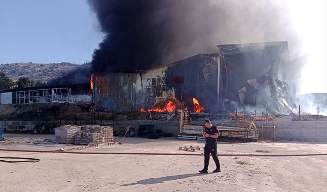 Adana'da narenciye paketleme tesisinde çıkan yangına müdahale ediliyor