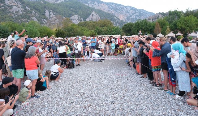 Antalya'nın Çıralı sahilinde 4 bin caretta caretta denizle buluştu