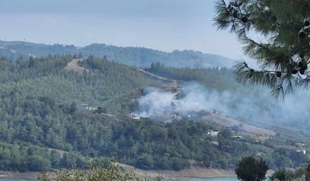 Adana'da ormanlık alanda çıkan yangın kontrol altına alındı