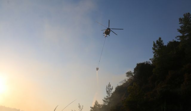 Antalya'da ormanlık alanda çıkan yangın kontrol altına alındı