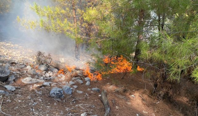 Antalya'nın Kaş ilçesinde çıkan orman yangınına müdahale ediliyor