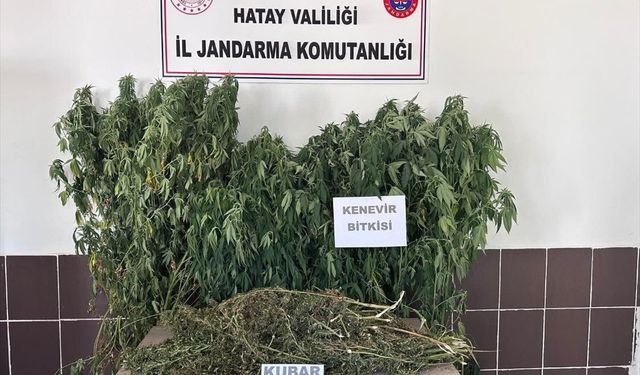 Hatay'da ruhsatsız 23 tabanca ele geçirildi