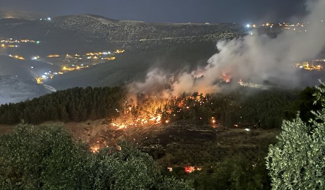 Kahramanmaraş'ta Çıkan Orman Yangını Kontrol Altına Alındı