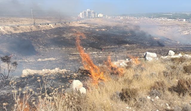 Mersin'de otluk alanda çıkan yangın söndürüldü