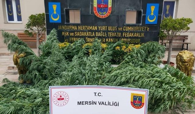 Mersin'de uyuşturucu operasyonunda 3 zanlı yakalandı