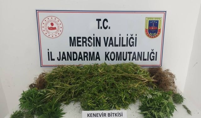 Mersin'de uyuşturucu operasyonunda 4 zanlı yakalandı