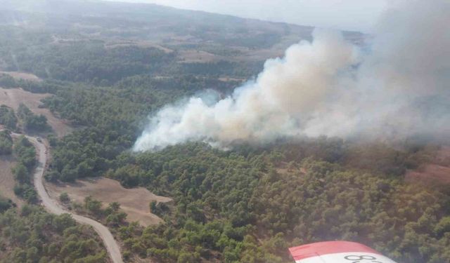 Adana’da çıkan orman yangını kontrol altına alındı