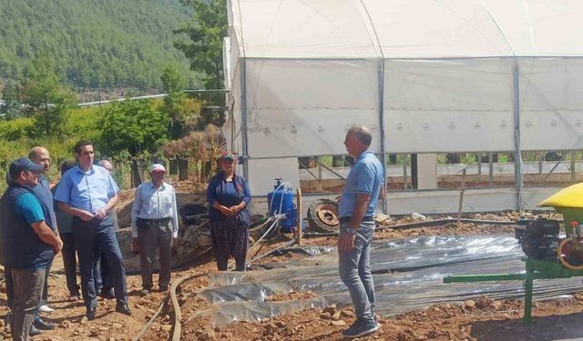 Kaymakam Topsakaloğlu, çilek serasında incelemelerde bulundu