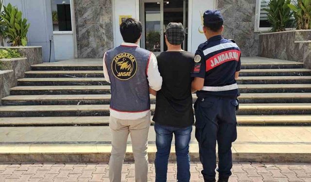 Tasarlayarak adam öldürmeden aranan şahıs jandarma operasyonuyla yakalandı