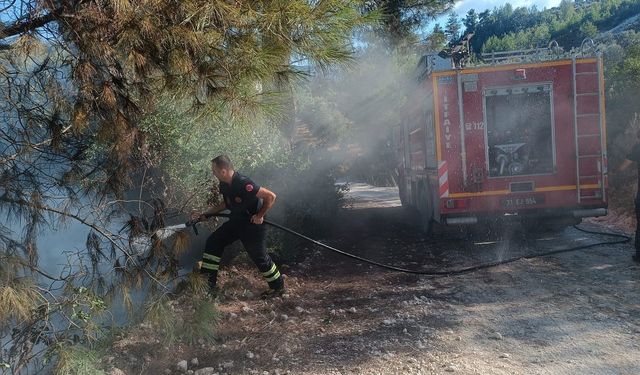 Yayladağı’nda örtü yangını