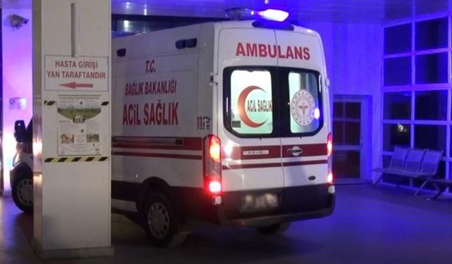 Giresun'da iki minibüs çarpıştı, 1 kişi öldü, 1 kişi yaralandı