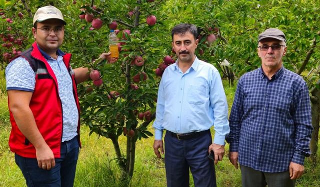 Göksun'da Elma Bahçelerini Koruyan Biyoteknik Yöntem