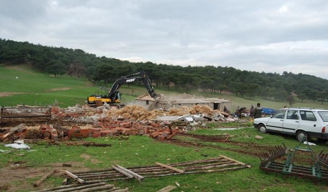 Devlet ormanlarındaki kaçak yapılar yıkılacak