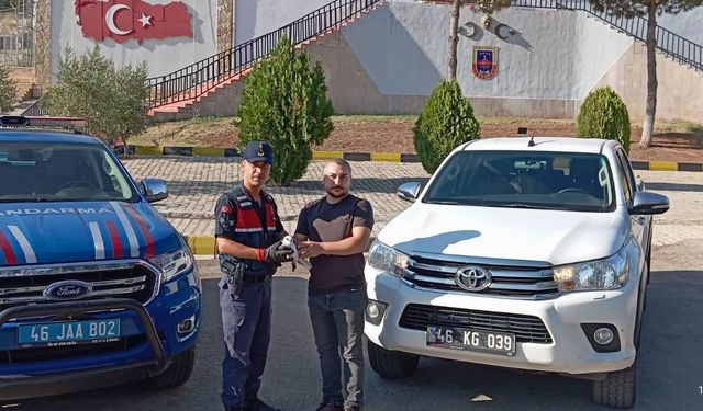 Pazarcık’ta Bulunan Yaralı Atmaca, Tedavi Altında