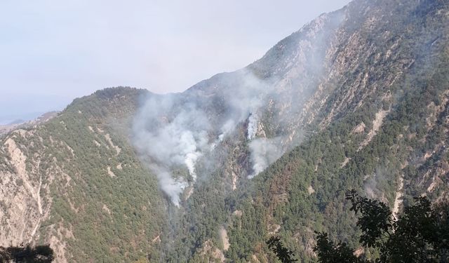 Kahramanmaraş'taki Orman Yangınında 40 Hektar Alan Zarar Gördü