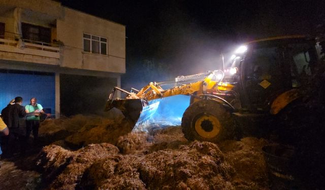 Adana'da samanlıkta çıkan yangın söndürüldü