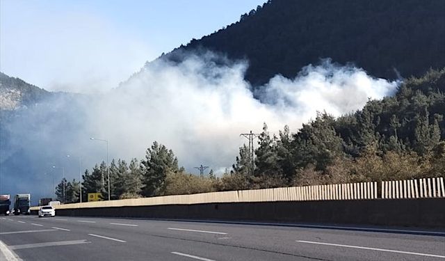 Mersin'de ormanlık alanda çıkan yangın kontrol altına alındı