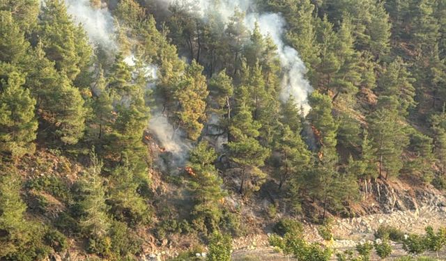 Hatay'da çıkan orman yangını büyümeden söndürüldü