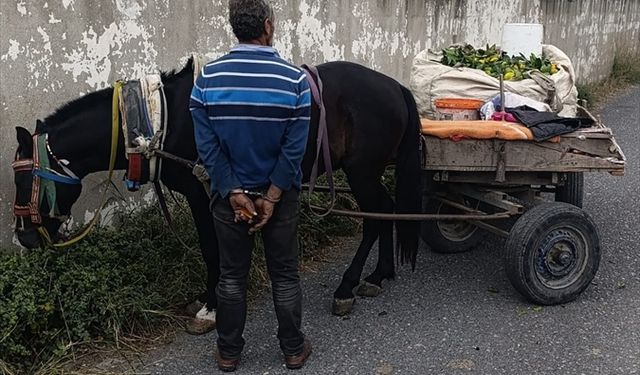 Hatay'da narenciye hırsızlığı yapan kişi yakalandı