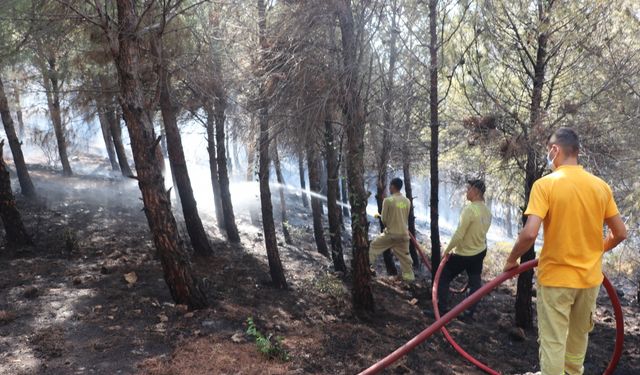 Hatay'da ormanlık alanda çıkan yangın söndürüldü