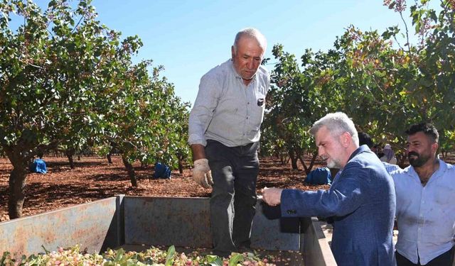 Başkan Görgel: “Pazarcık Fıstığı’nın tescili için gerekli süreçleri başlatıyoruz”