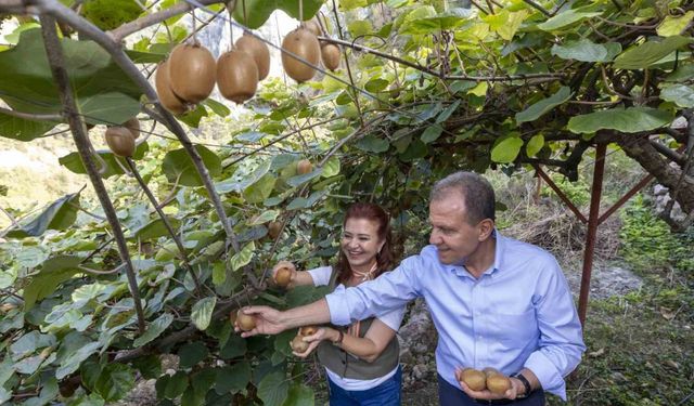 Başkan Seçer, ’Kivi Şenliği’ne katıldı