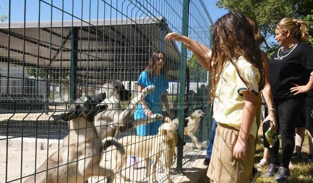 Çocuklar hayvan bakımevini gezdi