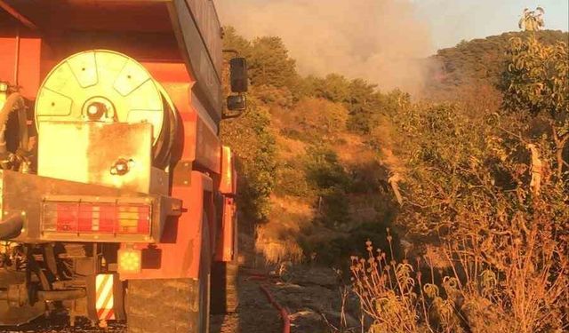 Gazipaşa’da ormanlık alanda çıkan yangın söndürüldü