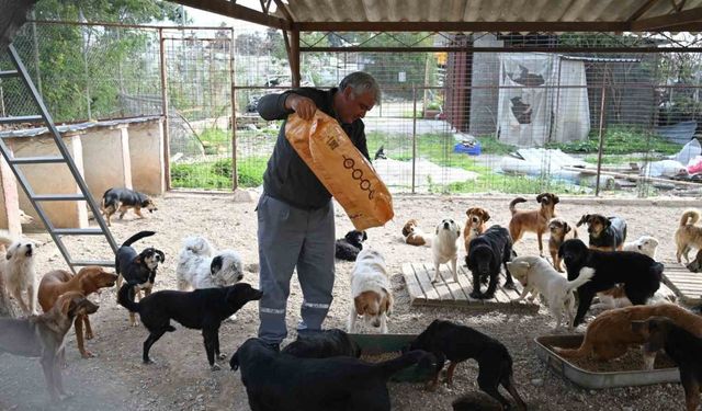 Kemer Belediyesi mama üretim tesisini açıyor