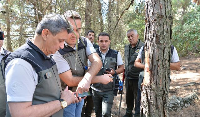 Orman ürünleri yenilikçi barkod sistemi ’ORKOD Uygulaması’ ile takip edilecek