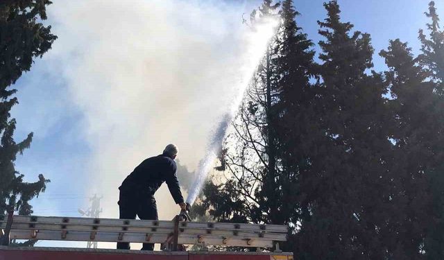 Reyhanlı’da çamlık alanda yangın çıktı