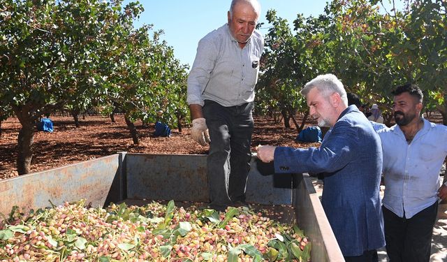 Başkan Görgel: “Pazarcık Fıstığı’nın Tescili İçin Gerekli Süreçleri Başlatıyoruz”