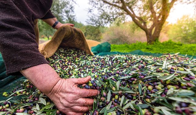 Türkiye, 120 Ülkeye 506 Milyon Dolarlık Altın Sıvı İhraç Etti