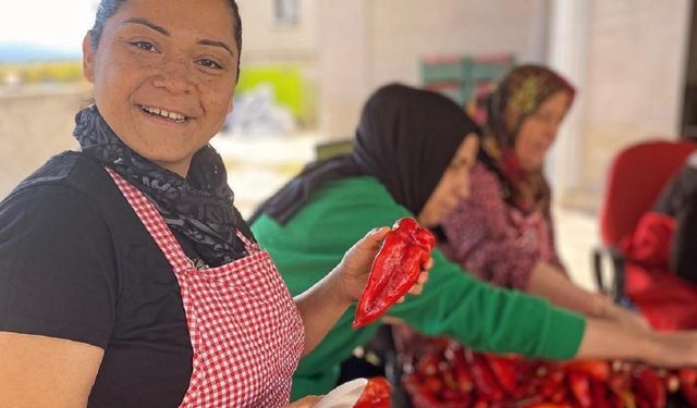 Türkiye’nin Hepsiburada’sı, e-ticaret yapan kadın kooperatifi sayısını iki katına çıkaracak