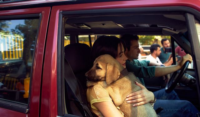 Yavru Köpek, Sette Neşe Kaynağı Oldu! Hayvansever Set!