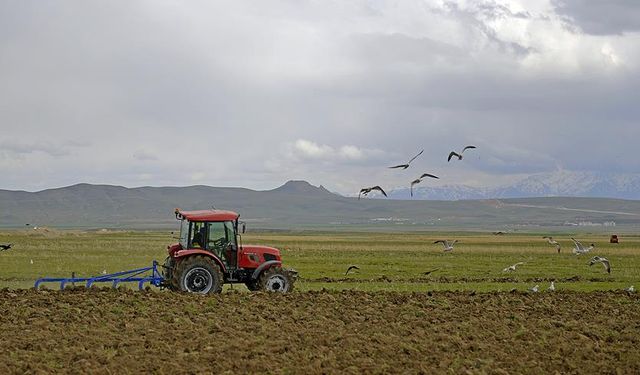 Afşin'de Tarımsal Araziler Artık Planlı Kiralanacak!