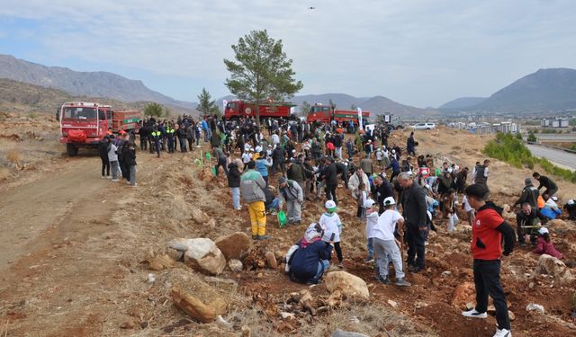 Adana ve Mersin'in ilçelerinde Milli Ağaçlandırma Günü'nde fidan dikildi