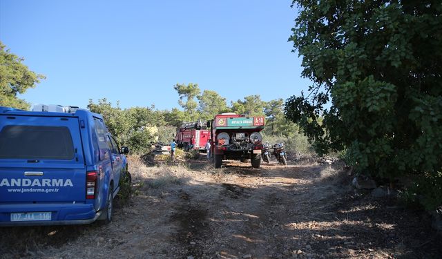 GÜNCELLEME - Alanya'da hava aracı ormanlık alana düştü