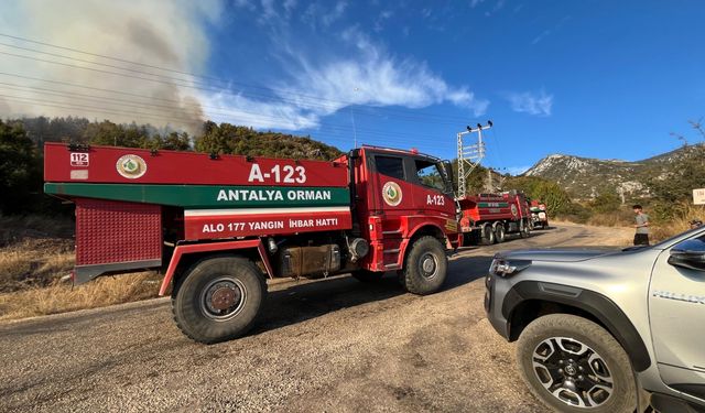 Antalya'da ormanlık alanda çıkan yangına müdahale ediliyor