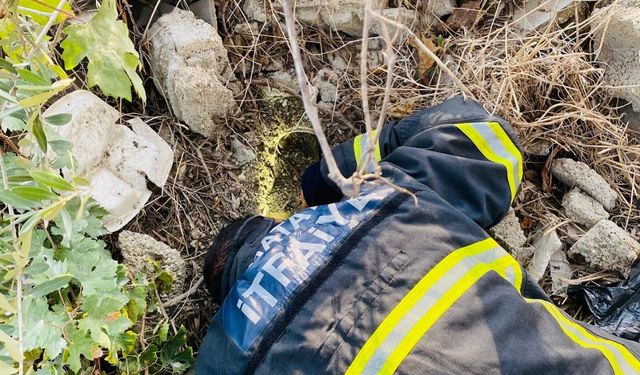 Hatay'da atık su borusunda mahsur kalan kedi kurtarıldı