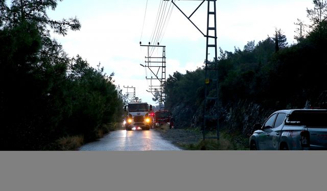 Hatay'da çıkan orman yangını kontrol altına alındı