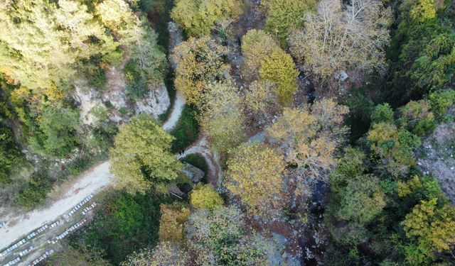 Hatay'da sonbahar renkleri hakim oldu