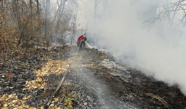 Isparta'da korulukta çıkan yangın söndürüldü